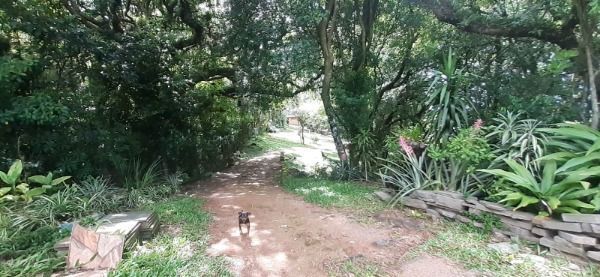 Terreno à venda, 16201m² - Foto 6