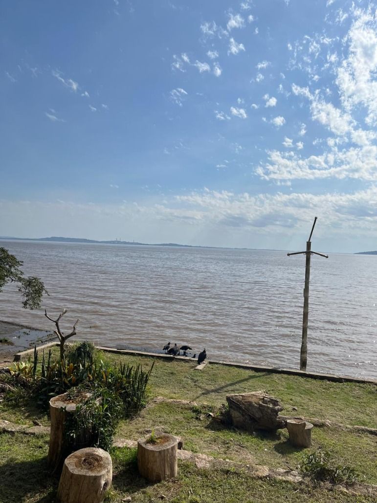 Sítio à venda com 3 quartos, 4500m² - Foto 8