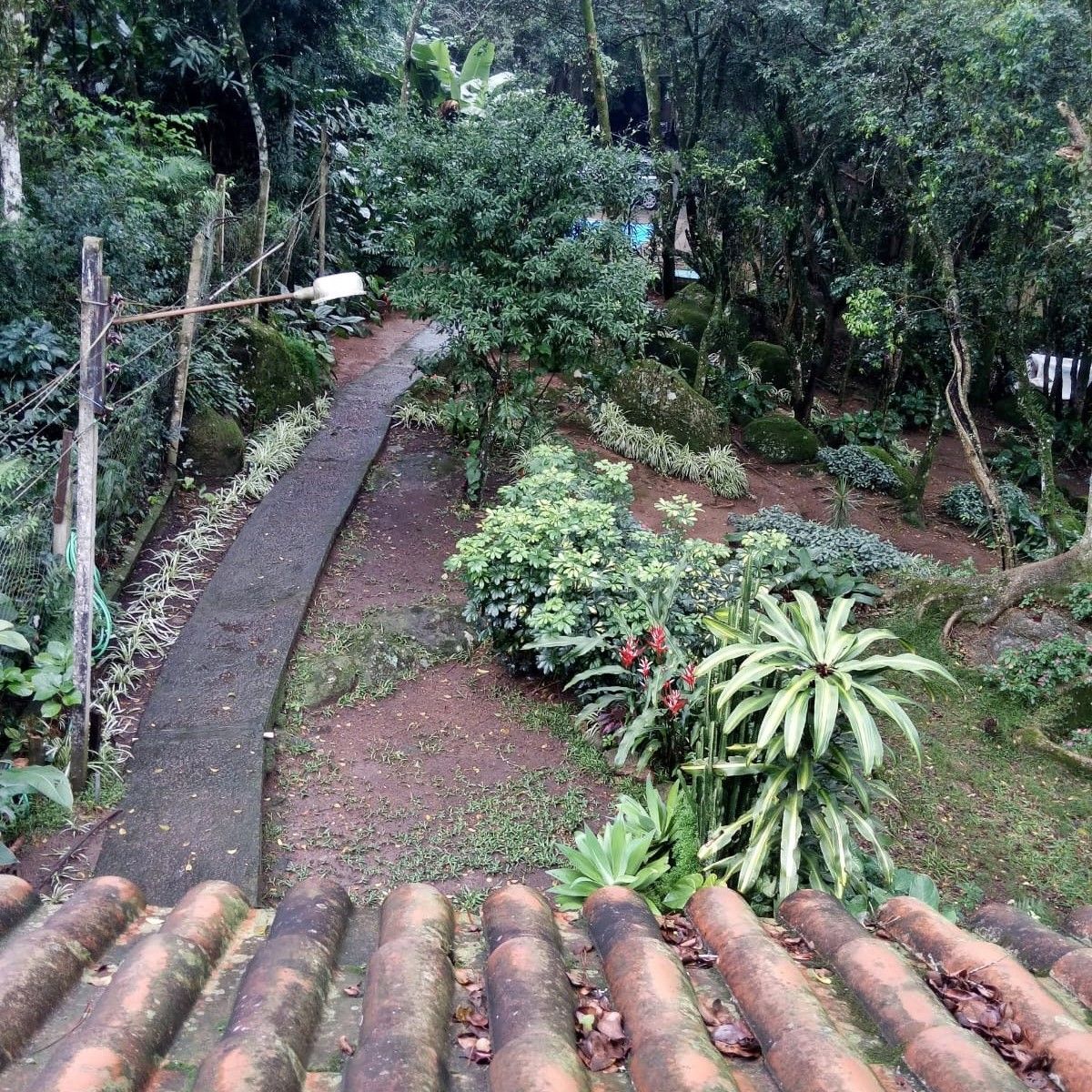 Sítio à venda com 3 quartos, 1m² - Foto 5