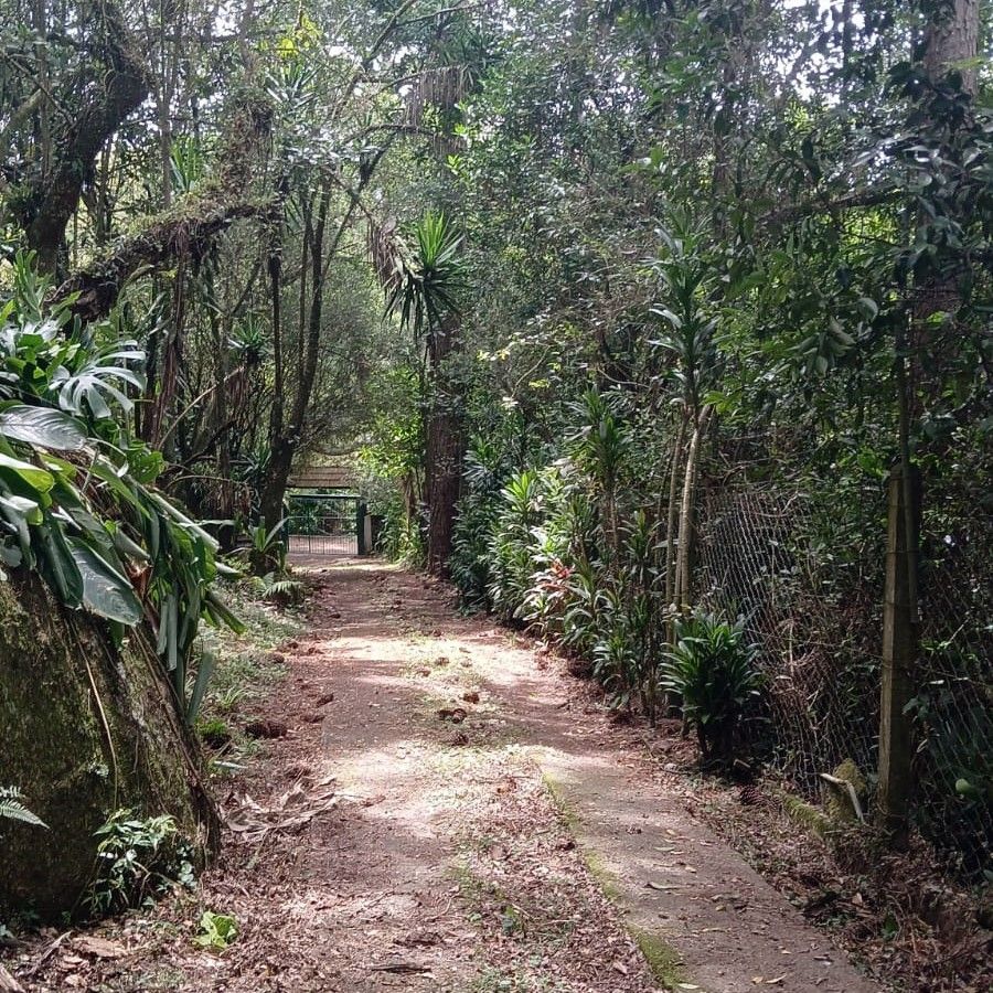 Sítio à venda com 3 quartos, 1m² - Foto 6