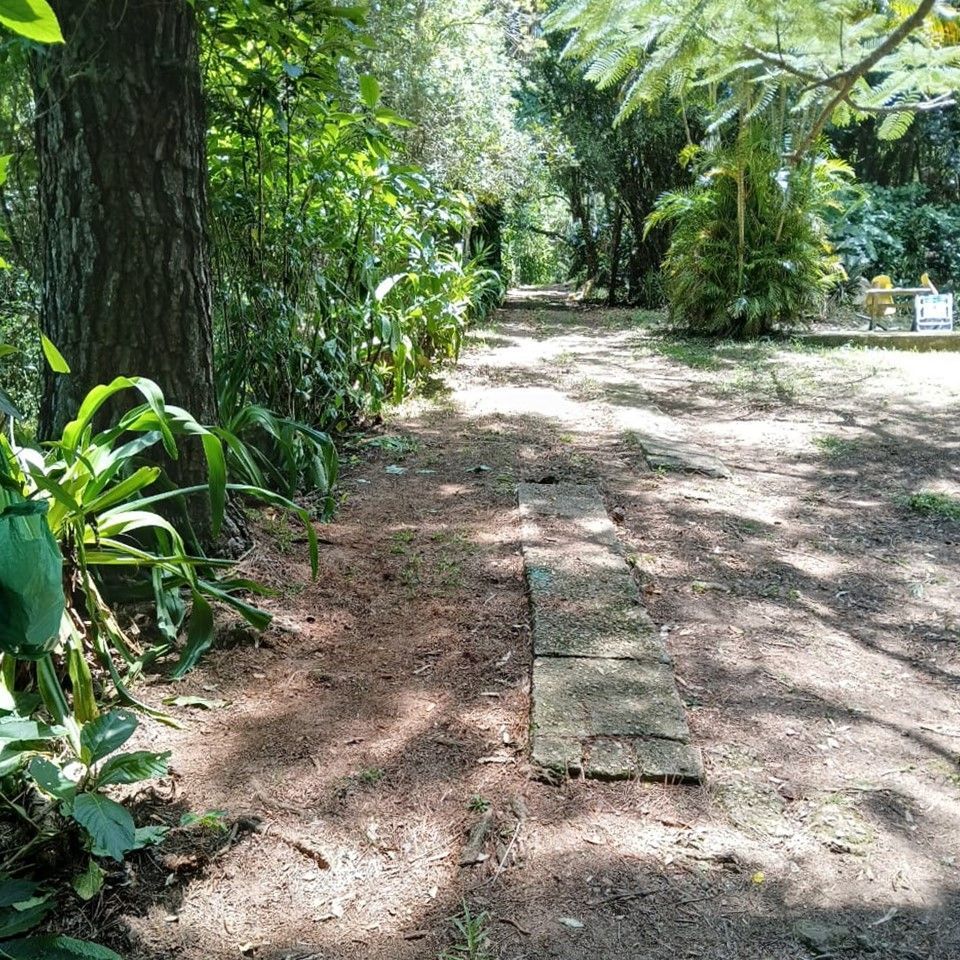 Sítio à venda com 3 quartos, 1m² - Foto 7