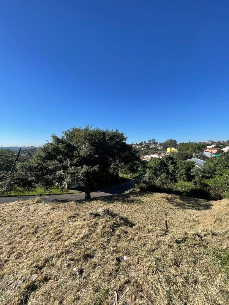 Terreno à venda, 240m² - Foto 3