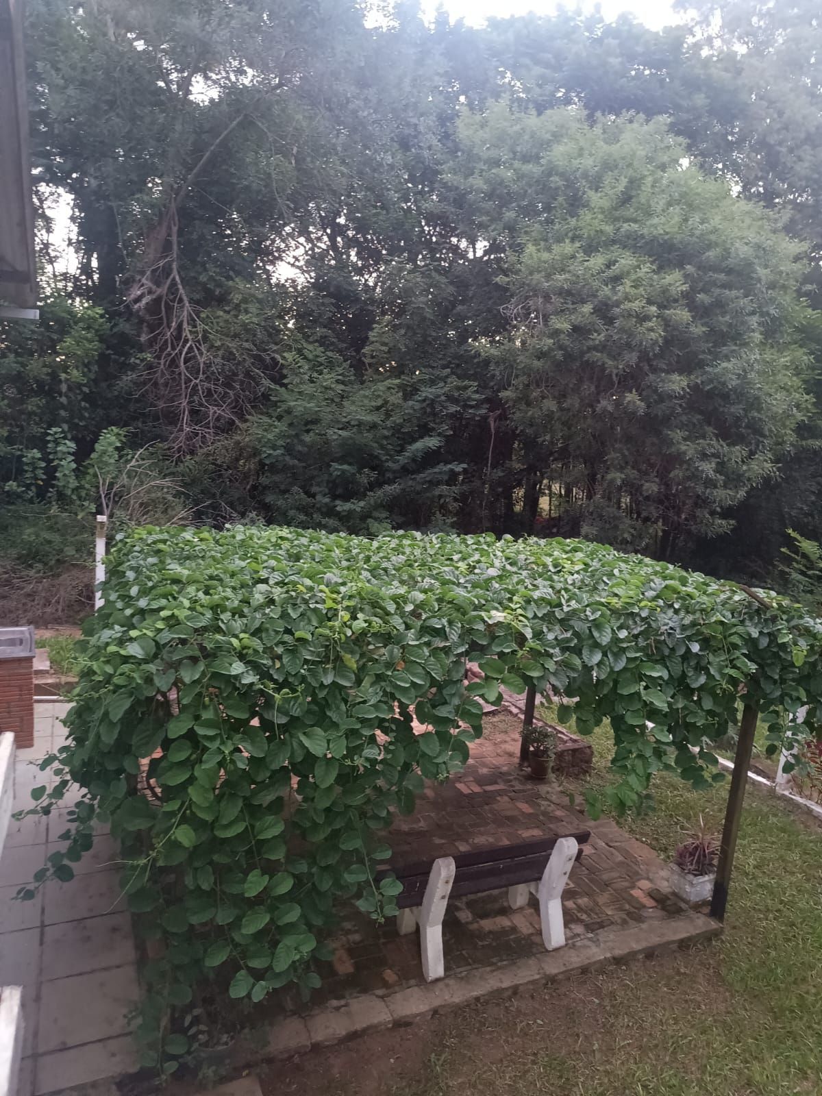 Sítio à venda com 2 quartos, 121m² - Foto 34