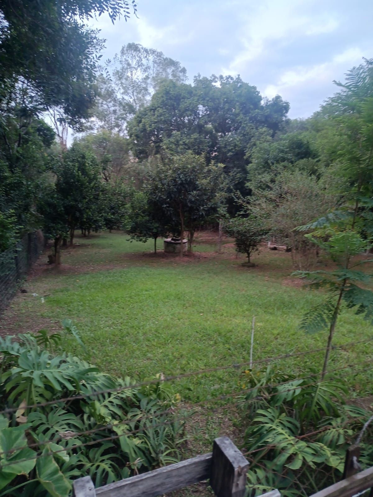 Sítio à venda com 2 quartos, 121m² - Foto 5