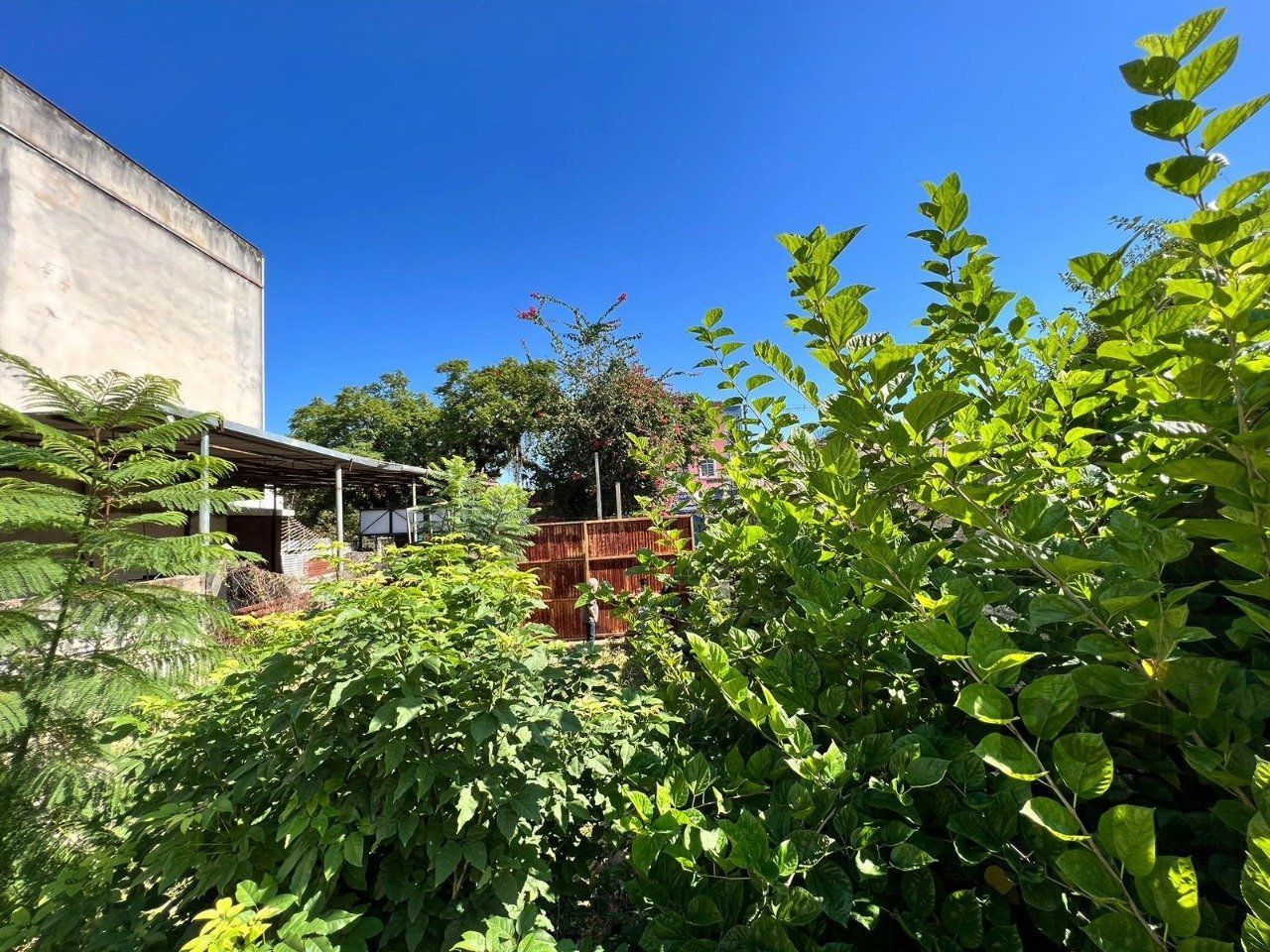 Terreno, 360 m² - Foto 9