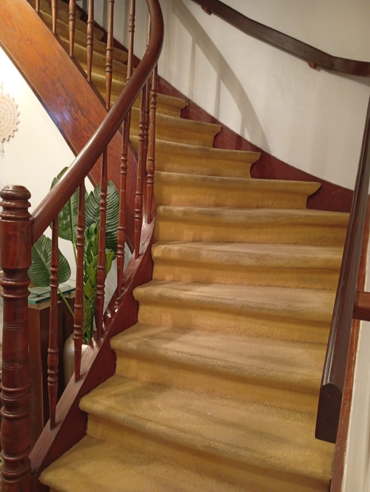 Casa, 5 quartos, 170 m² - Foto 14