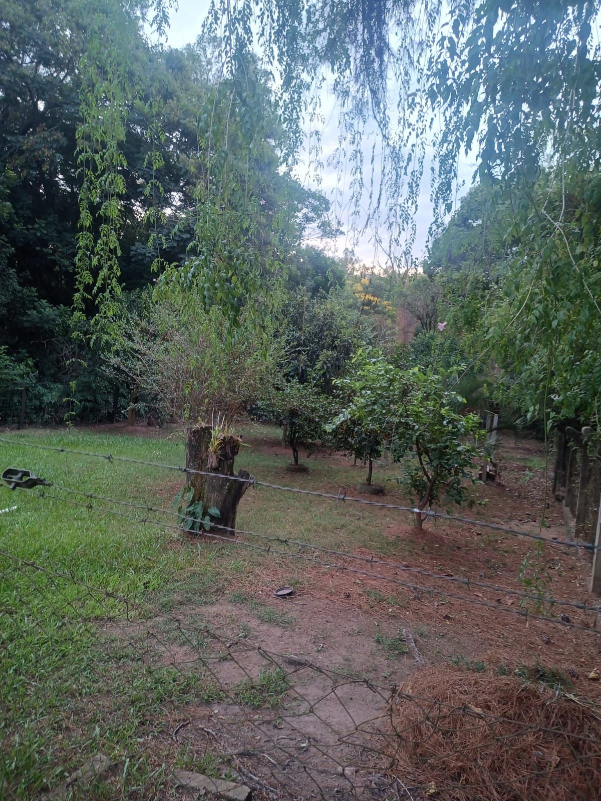 Sítio à venda com 2 quartos, 121m² - Foto 3