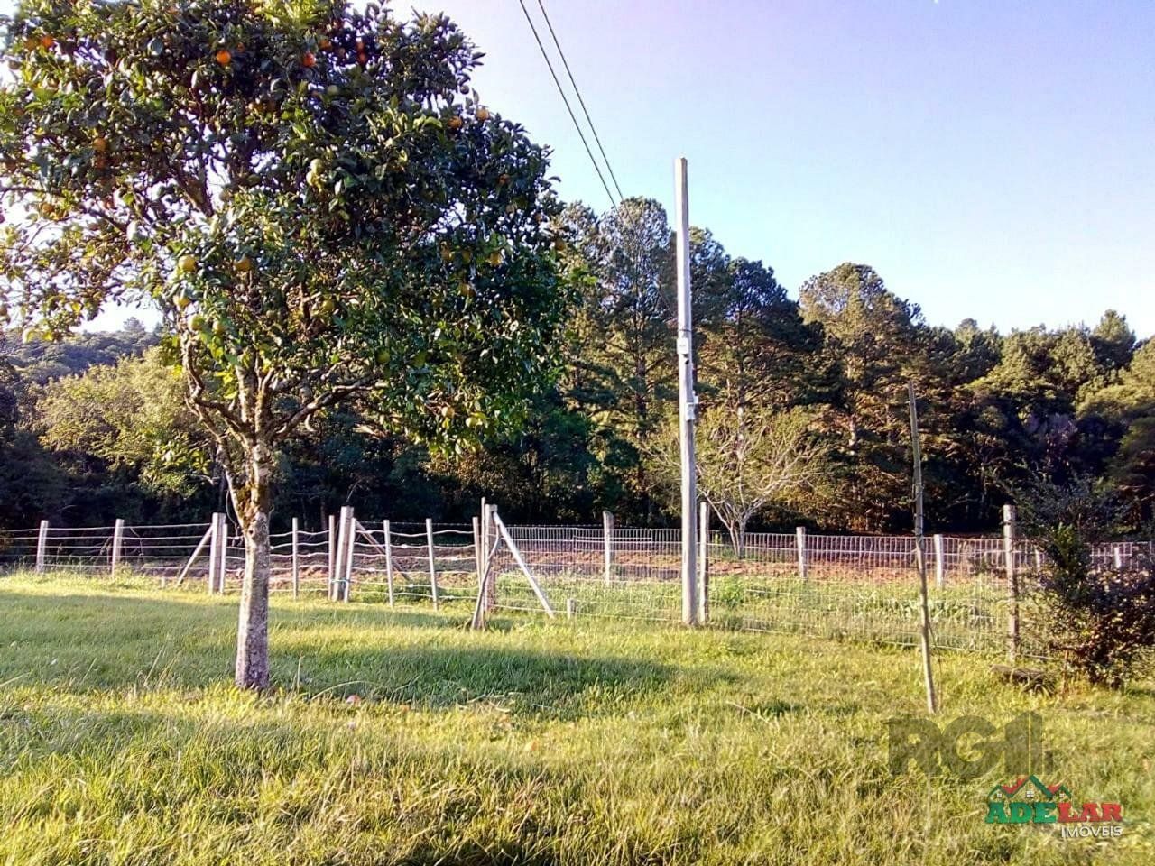 Sítio à venda com 2 quartos, 30000m² - Foto 87
