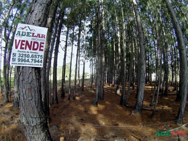 Terreno à venda, 3060m² - Foto 1
