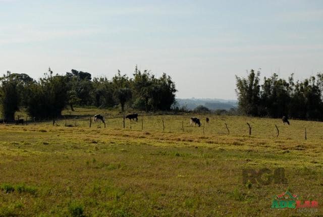 Sítio à venda com 1 quarto, 390000m² - Foto 77