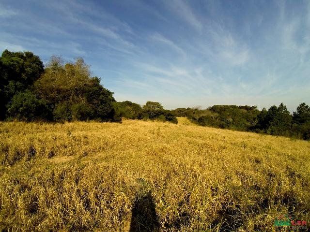 Sítio à venda com 1 quarto, 390000m² - Foto 40