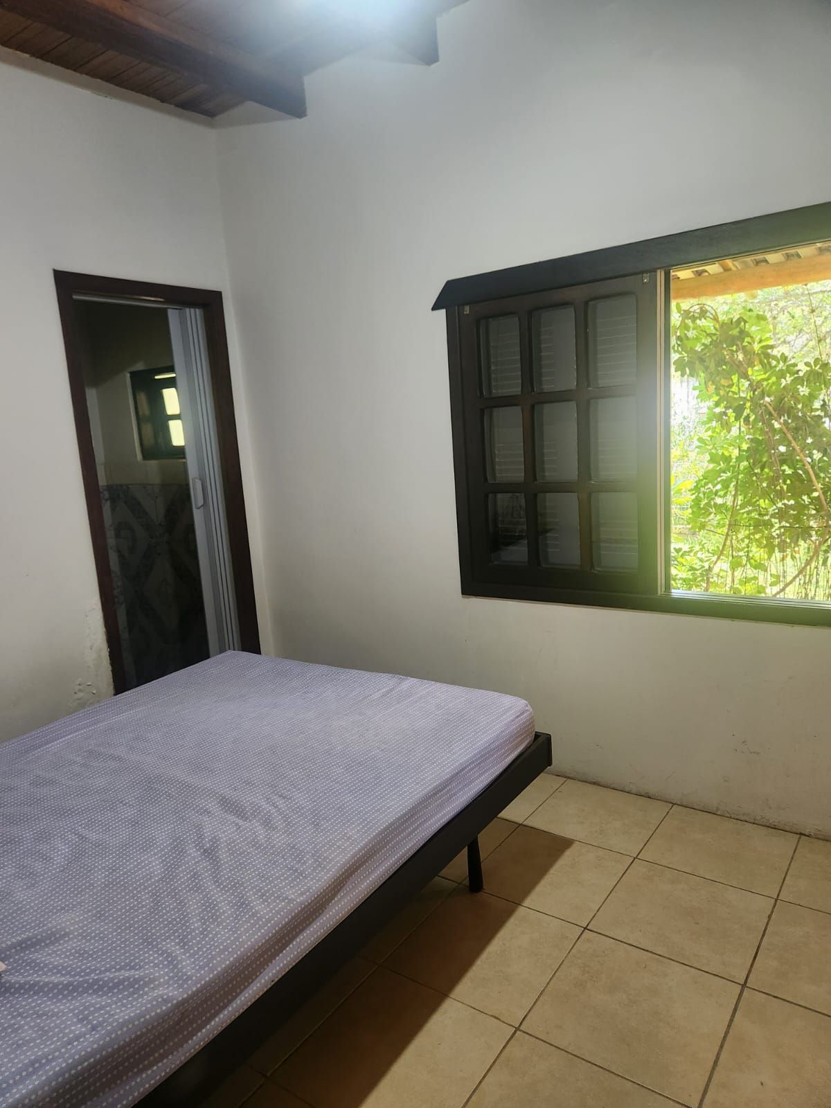Sítio à venda com 3 quartos, 200m² - Foto 38