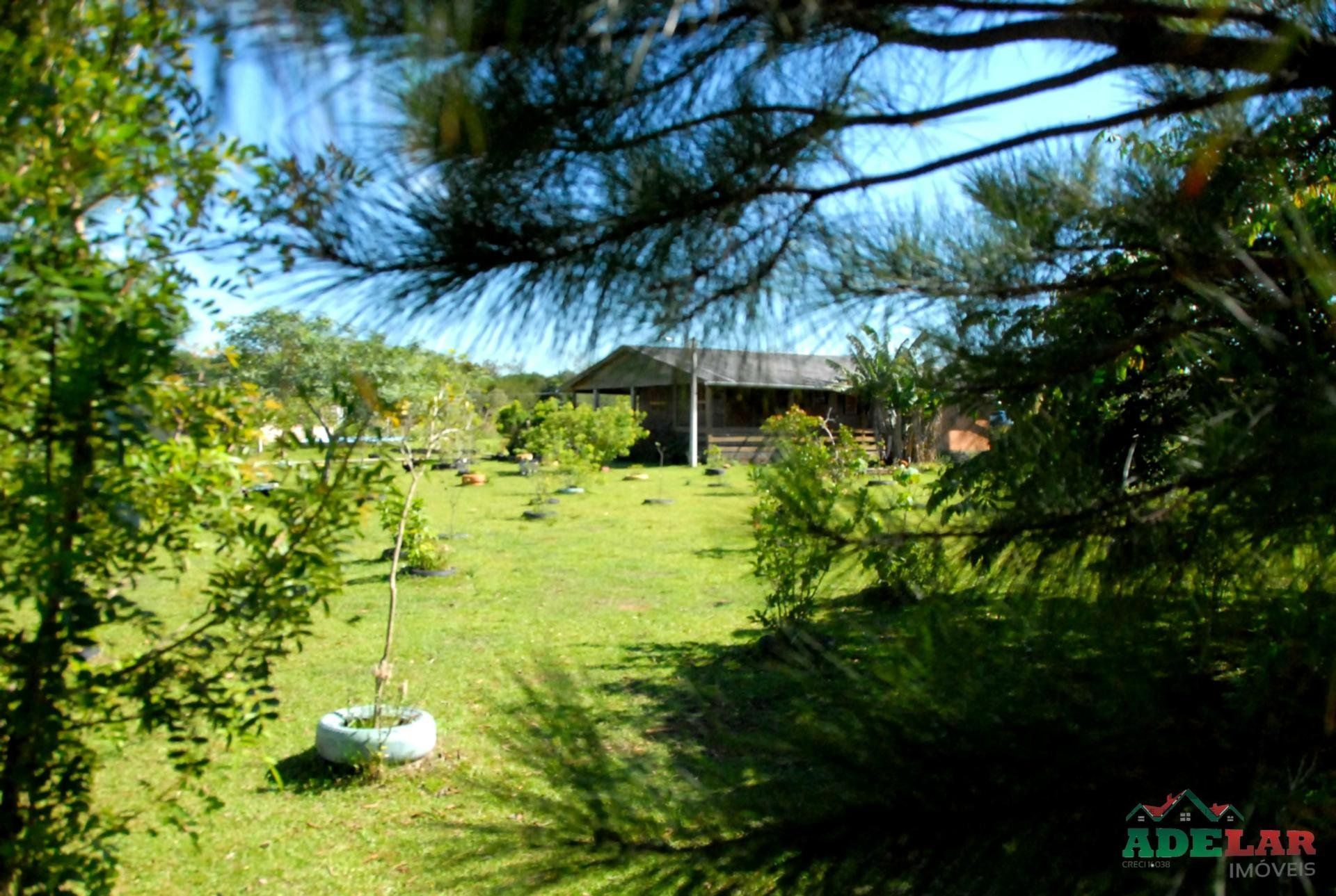 Chácara, 2 quartos, 2 hectares - Foto 11