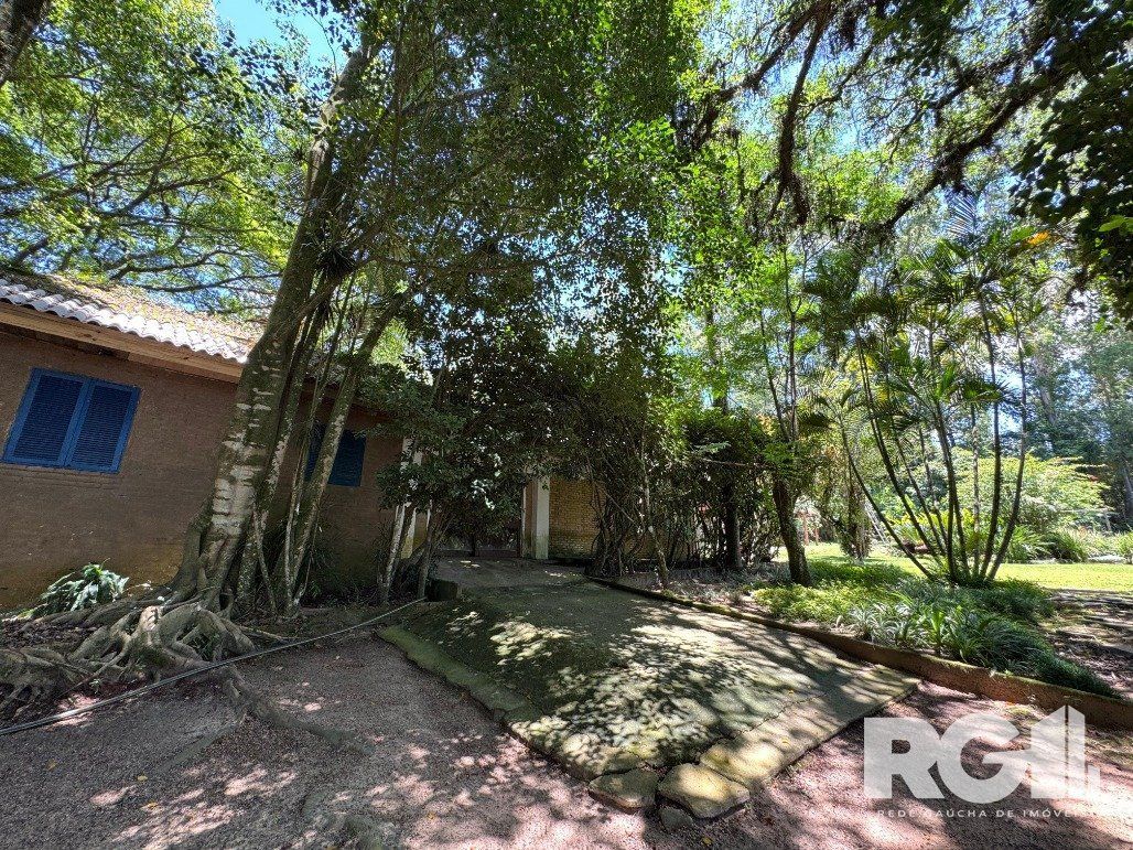 Sítio à venda com 4 quartos, 120m² - Foto 15