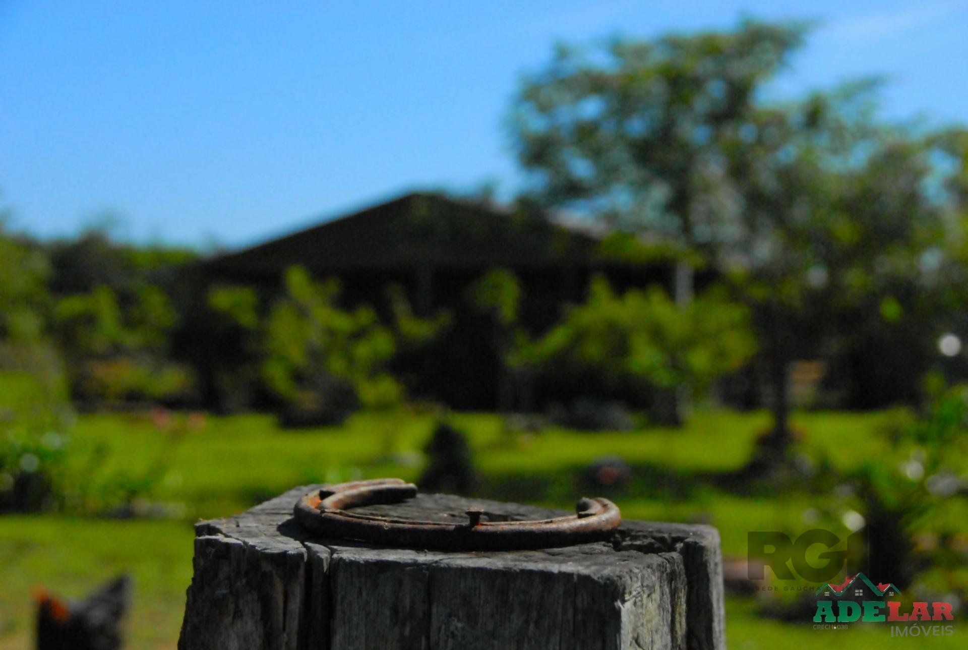 Chácara, 2 quartos, 2 hectares - Foto 20