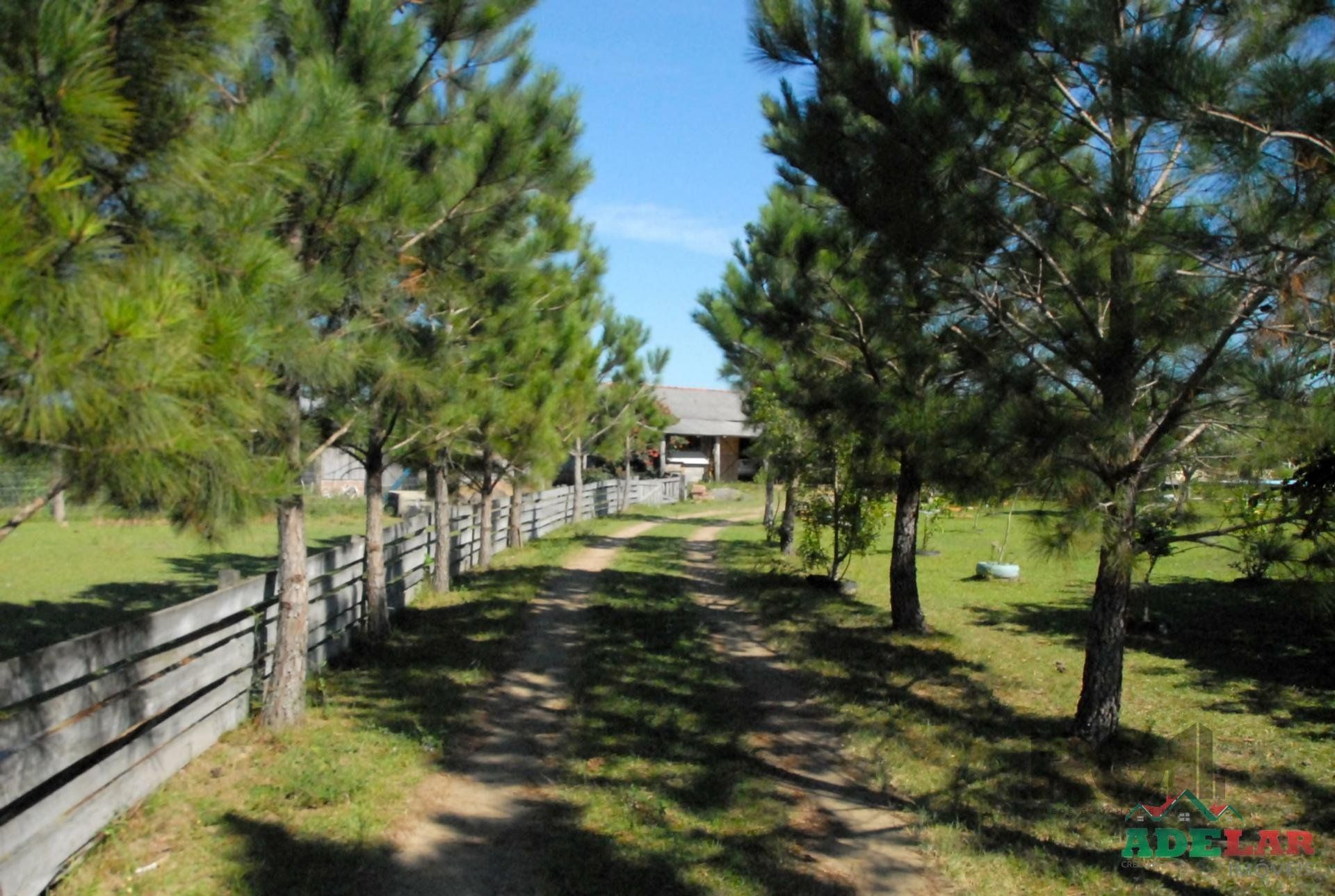 Chácara, 2 quartos, 2 hectares - Foto 10