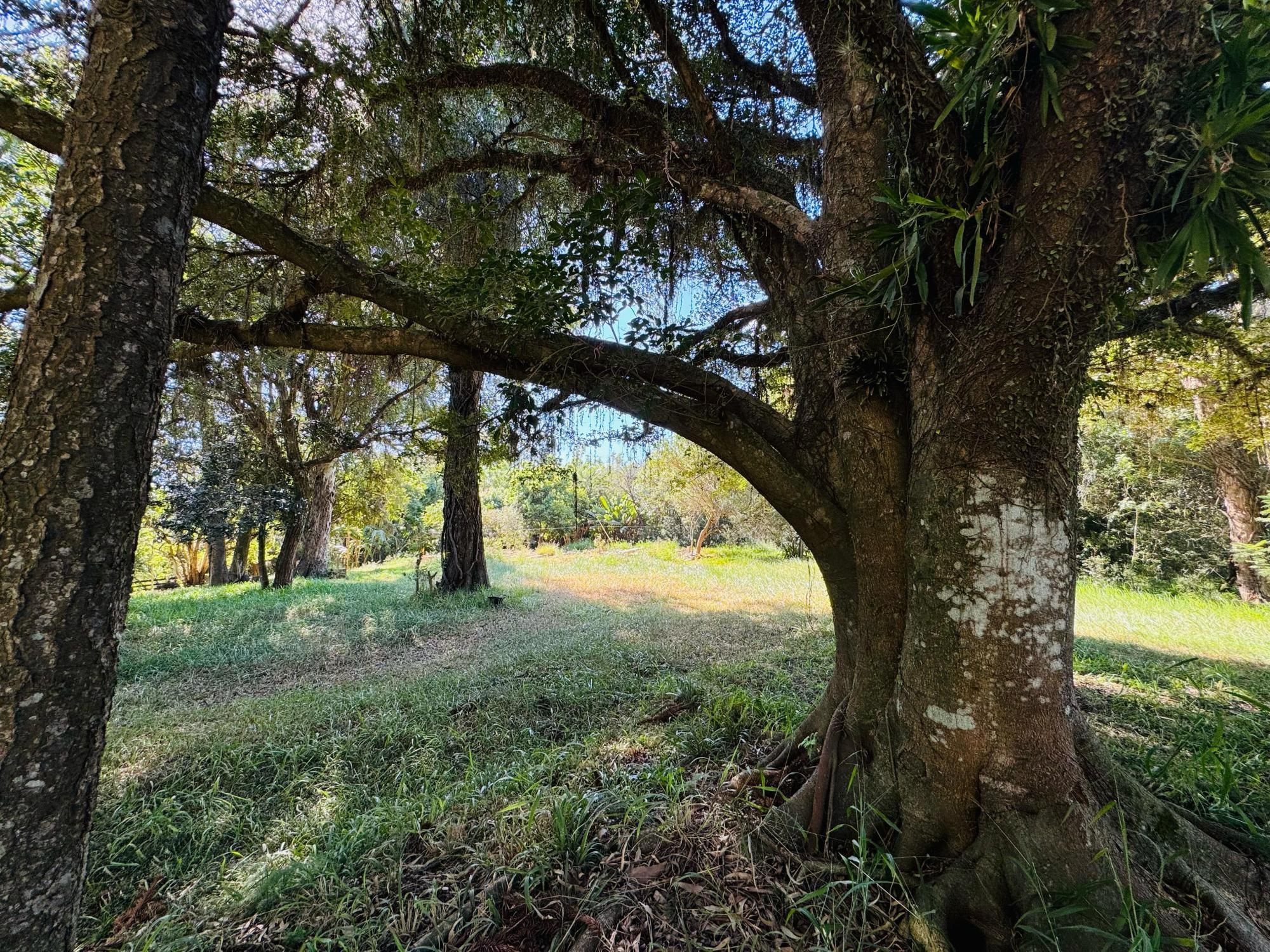 Sítio, 225 m² - Foto 8