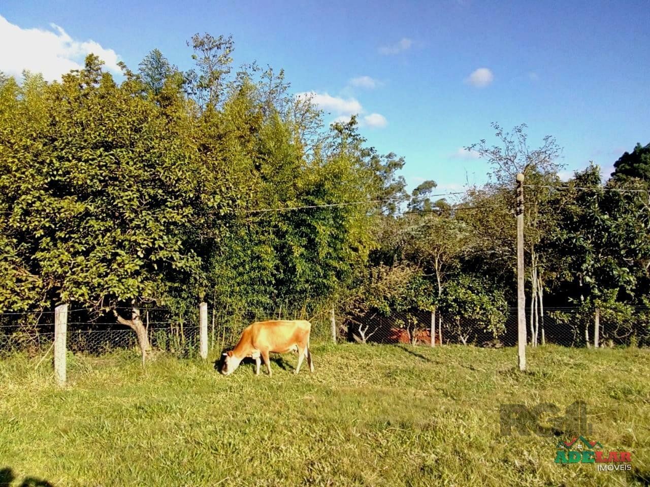Sítio à venda com 2 quartos, 30000m² - Foto 65