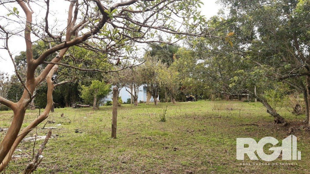 Sítio à venda com 2 quartos, 6611m² - Foto 19