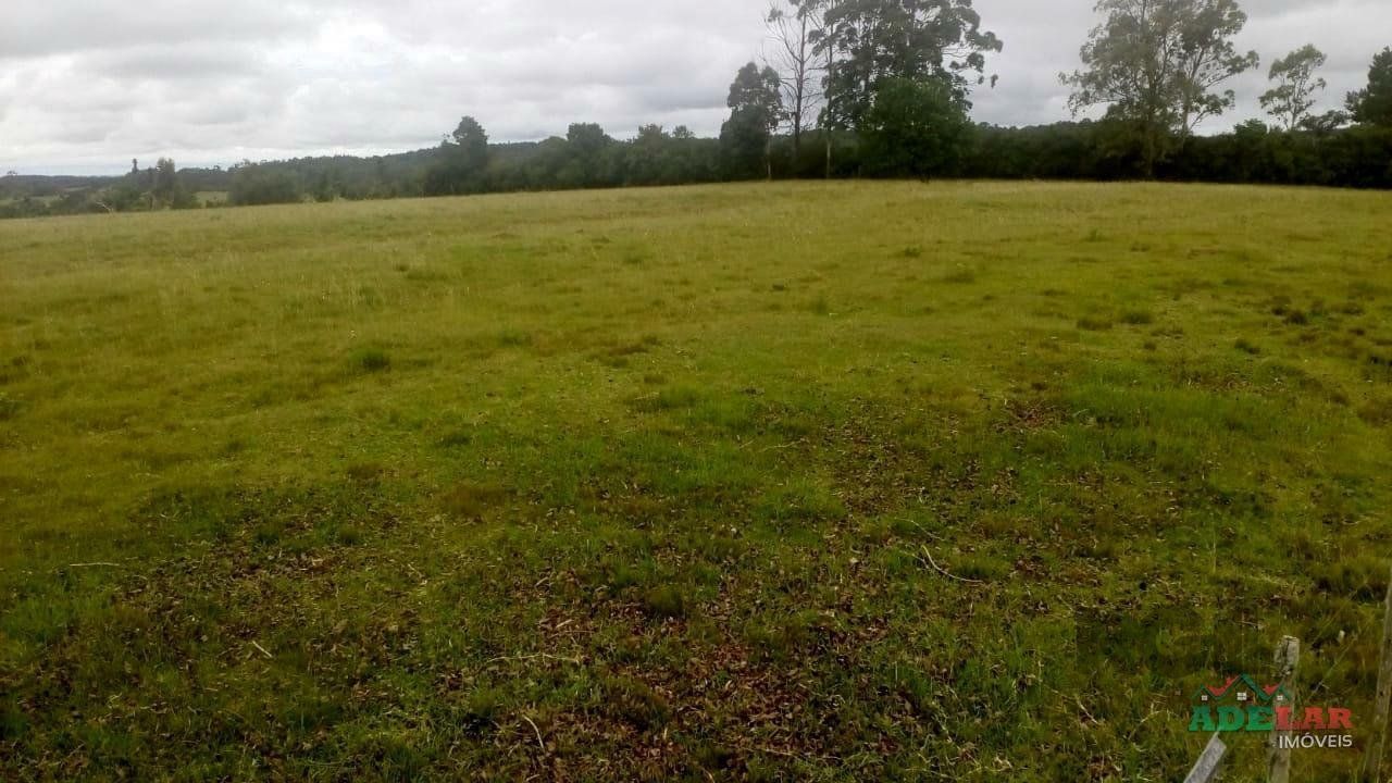 Sítio, 2 quartos, 10 hectares - Foto 35