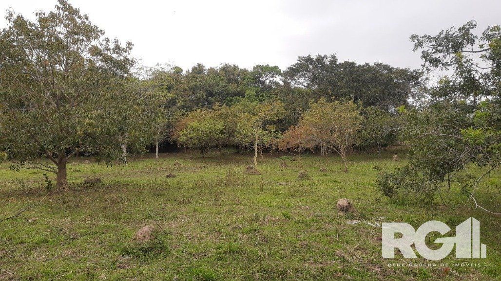 Sítio à venda com 2 quartos, 6611m² - Foto 23