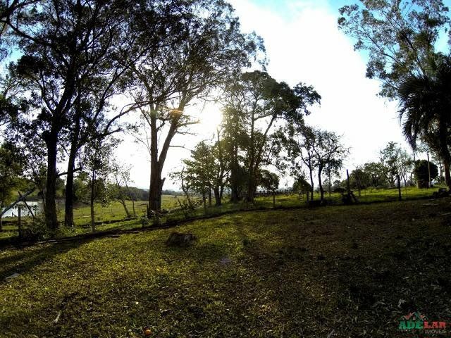 Sítio à venda com 1 quarto, 390000m² - Foto 73