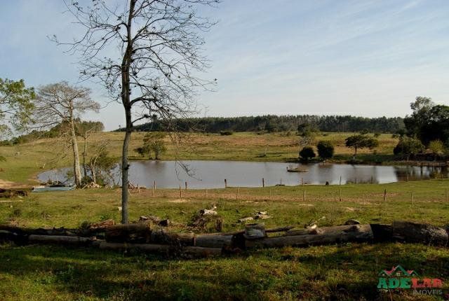 Sítio à venda com 1 quarto, 390000m² - Foto 16