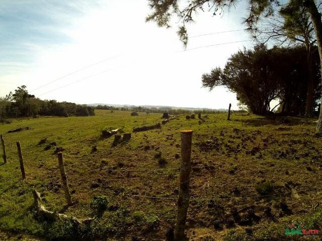 Sítio à venda com 1 quarto, 390000m² - Foto 78