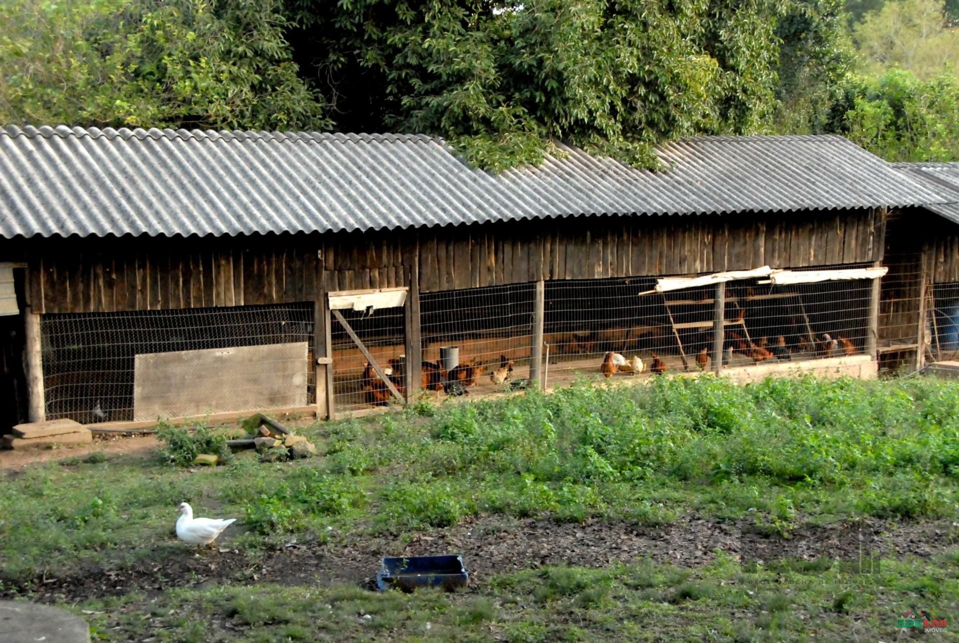 Sítio à venda com 2 quartos, 30000m² - Foto 83
