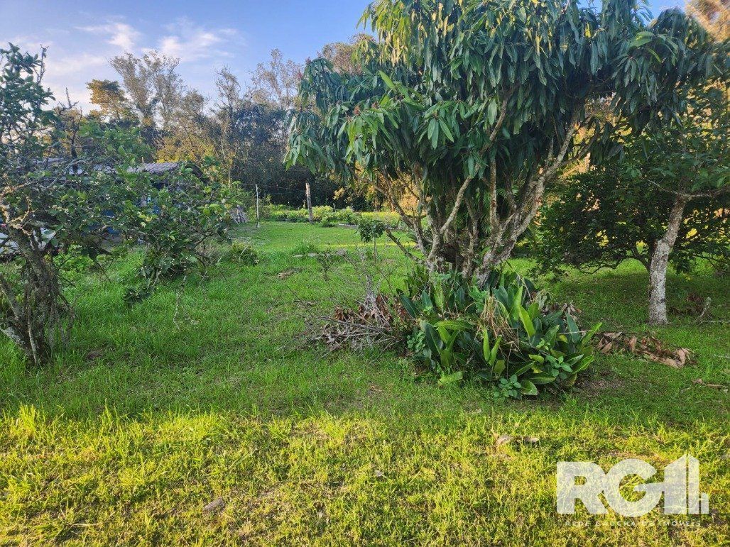 Casa à venda com 5 quartos, 1500m² - Foto 11