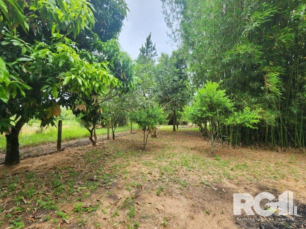 Sítio à venda com 3 quartos, 70m² - Foto 9