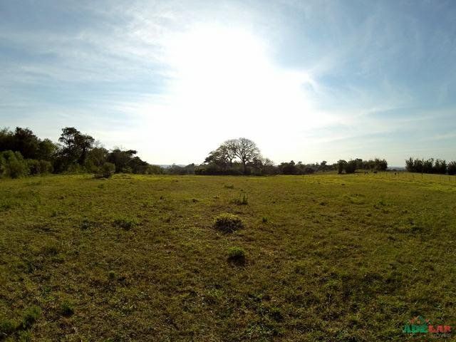 Sítio à venda com 1 quarto, 390000m² - Foto 44