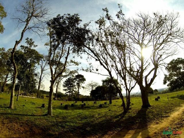 Sítio à venda com 1 quarto, 390000m² - Foto 64