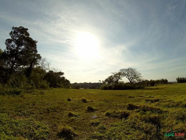 Sítio à venda com 1 quarto, 390000m² - Foto 49