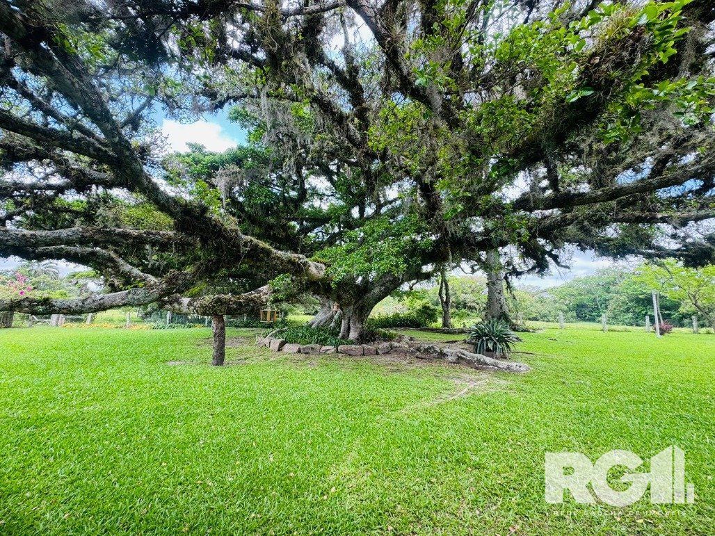 Sítio, 3 quartos, 10000 m² - Foto 2