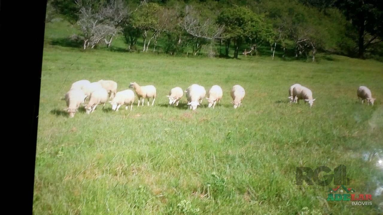 Sítio, 2 quartos, 10 hectares - Foto 38