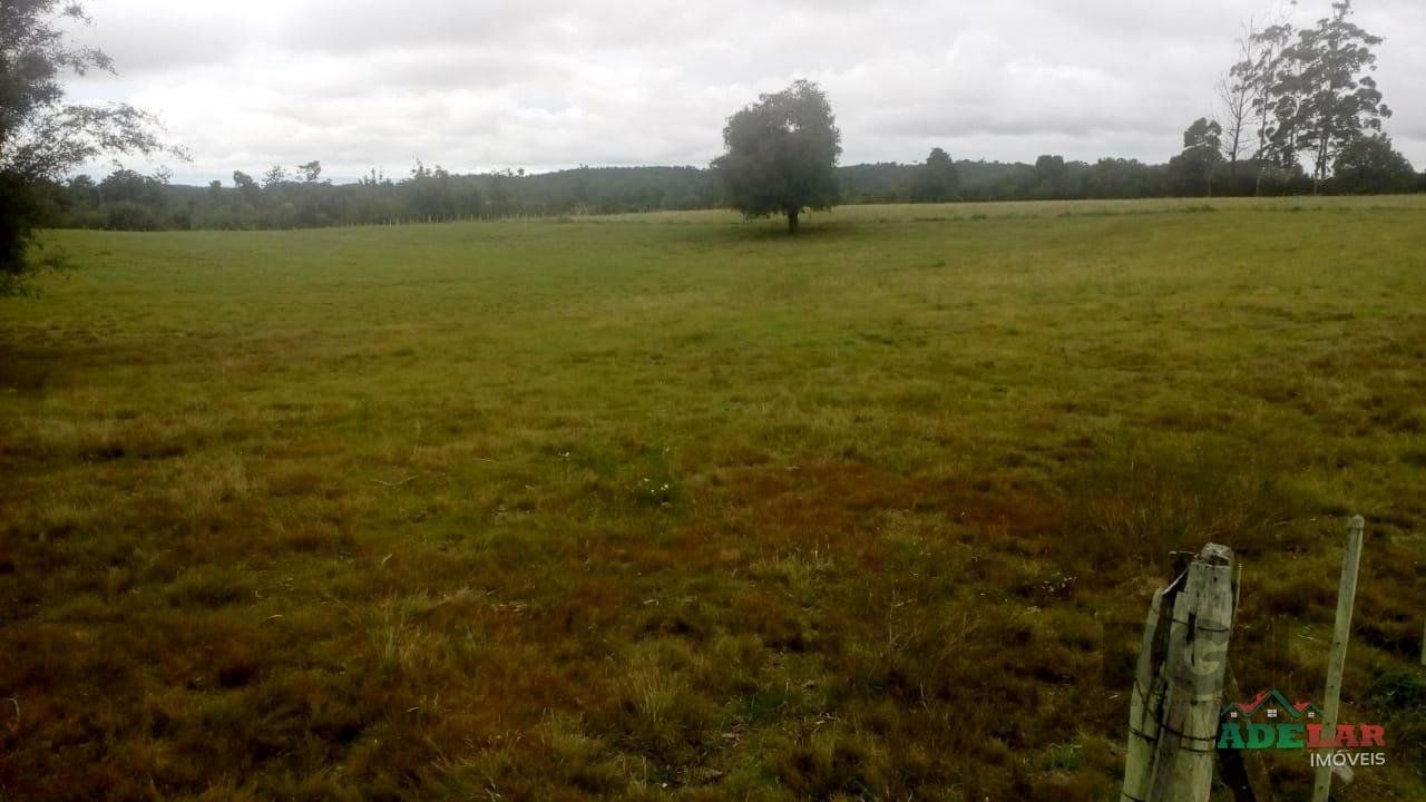 Sítio, 2 quartos, 10 hectares - Foto 32