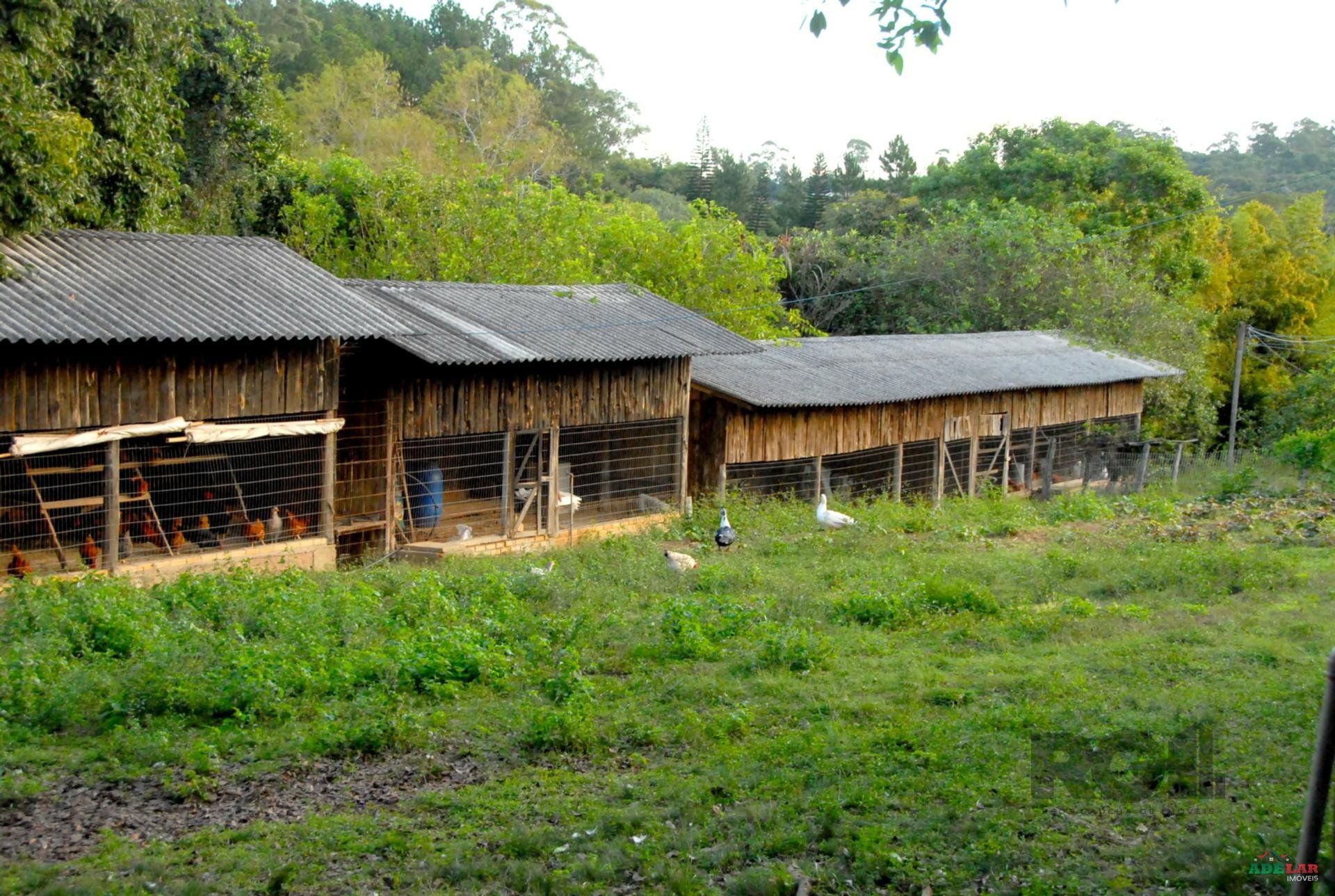 Sítio à venda com 2 quartos, 30000m² - Foto 84
