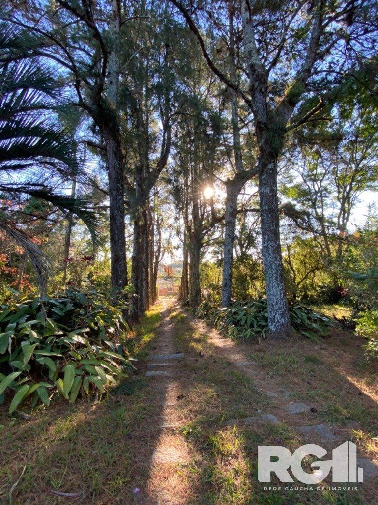 Sítio à venda com 3 quartos, 305m² - Foto 18