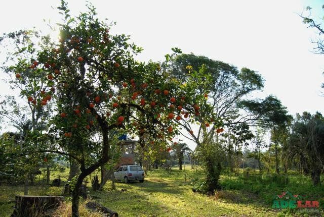 Sítio à venda com 1 quarto, 390000m² - Foto 20