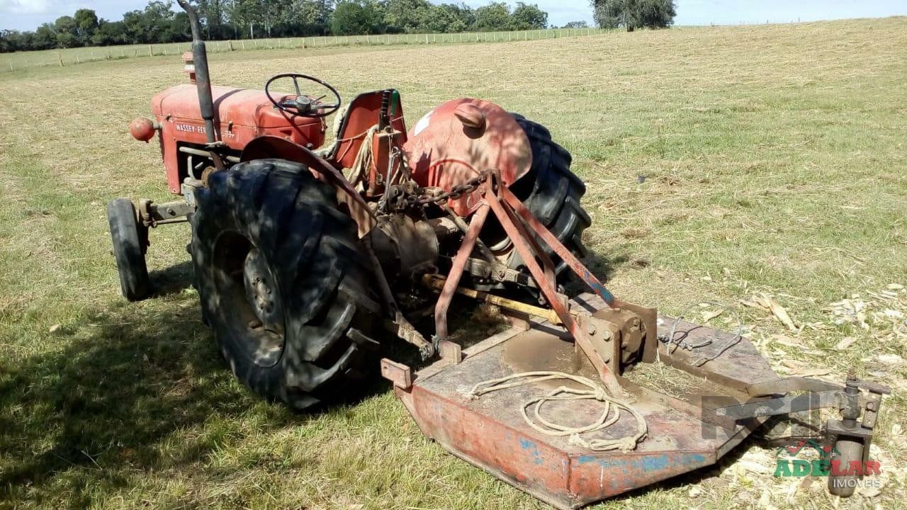 Sítio, 2 quartos, 10 hectares - Foto 29
