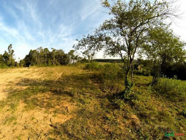 Sítio à venda com 1 quarto, 390000m² - Foto 56