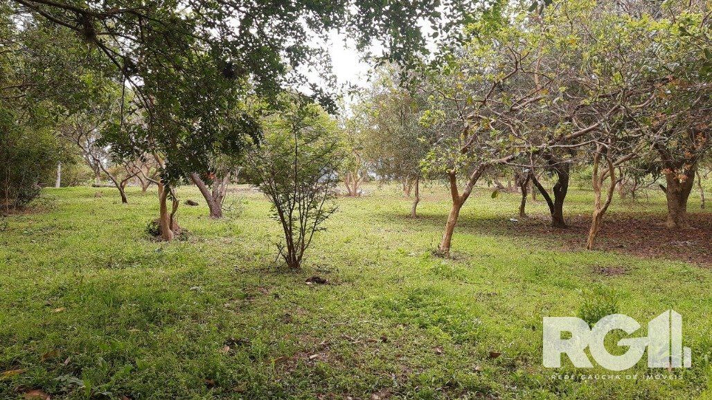 Sítio à venda com 2 quartos, 6611m² - Foto 28