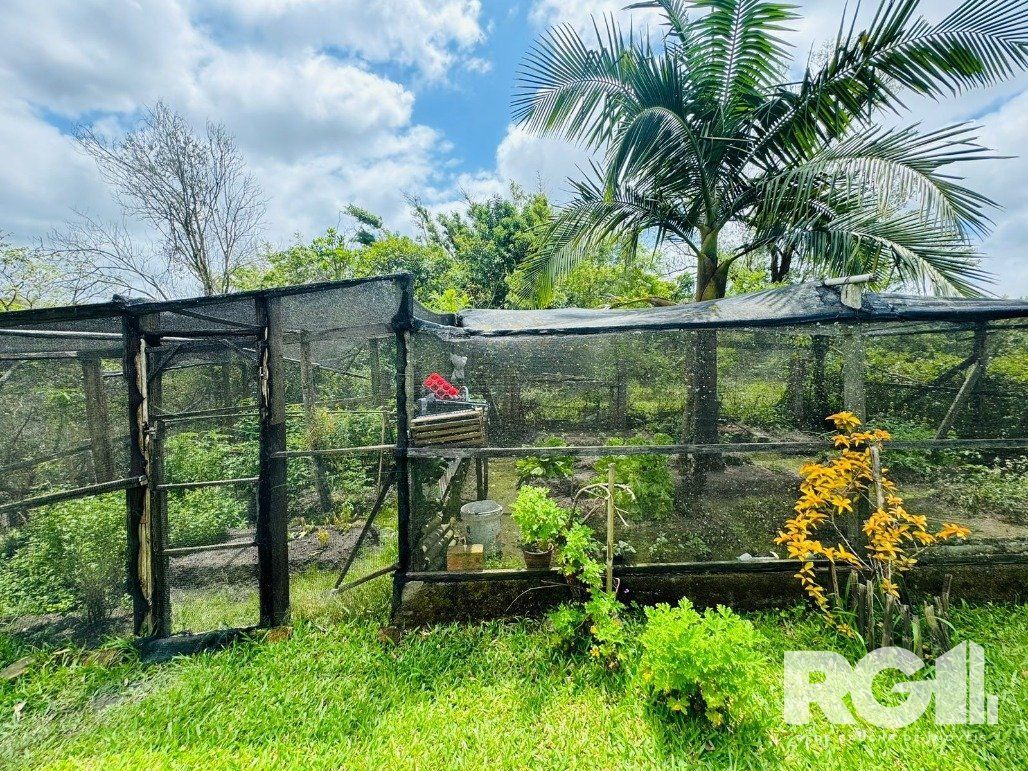 Sítio, 3 quartos, 10000 m² - Foto 22