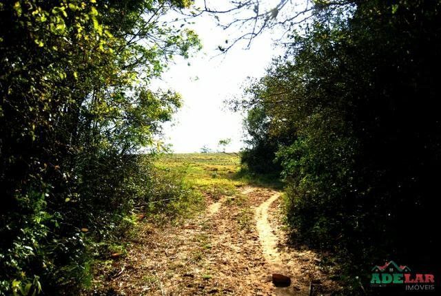 Sítio à venda com 1 quarto, 390000m² - Foto 53