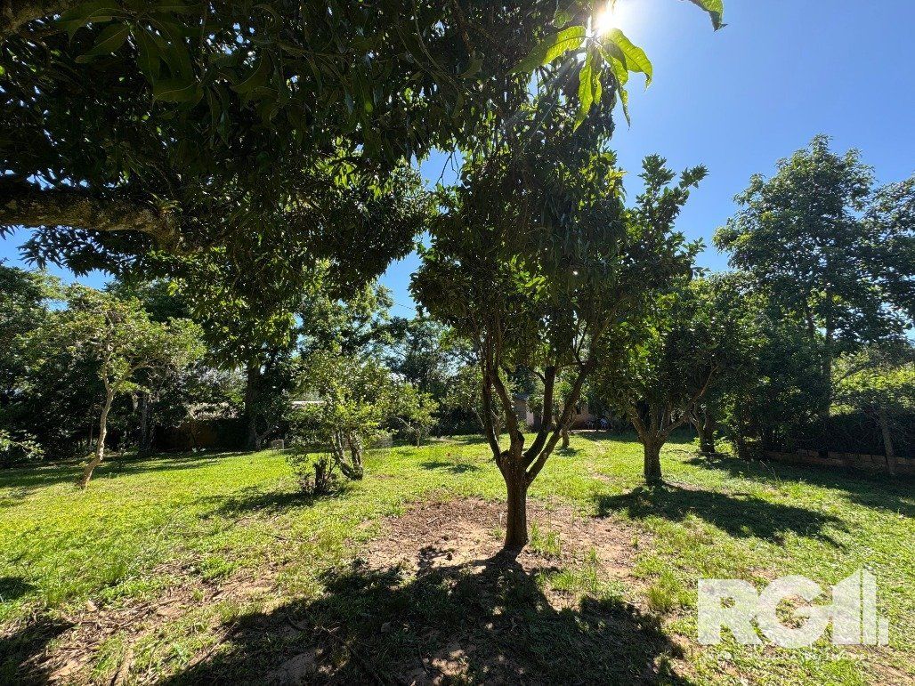Fazenda à venda com 3 quartos, 141m² - Foto 22