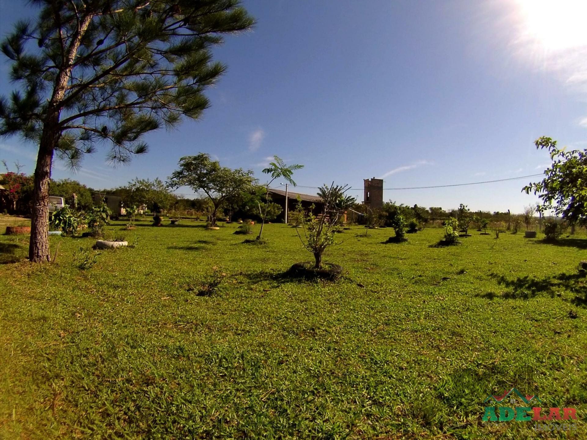 Chácara, 2 quartos, 2 hectares - Foto 43