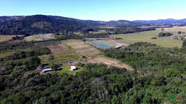 Sítio à venda com 1 quarto, 261500m² - Foto 31