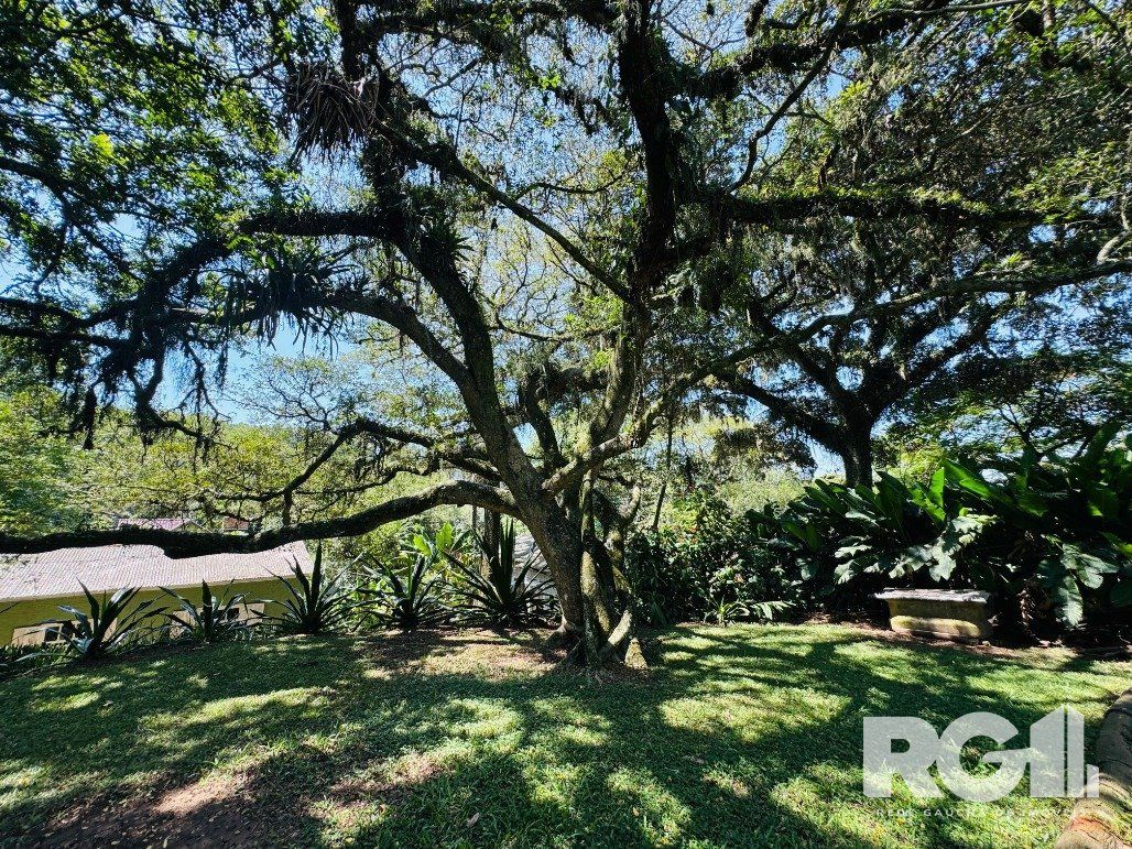 Sítio à venda com 3 quartos, 190m² - Foto 38