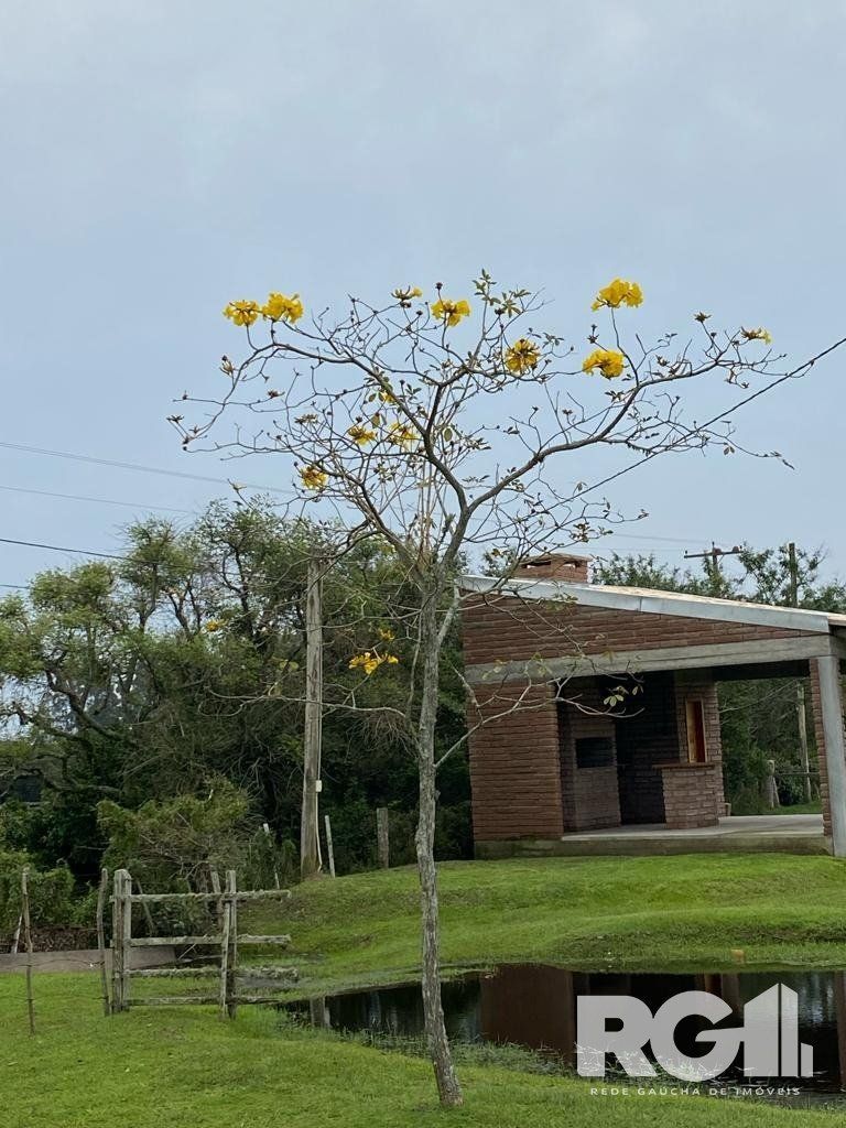 Sítio à venda com 4 quartos, 28571m² - Foto 11